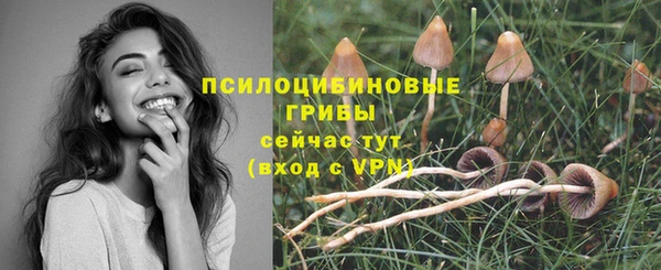 альфа пвп Елабуга