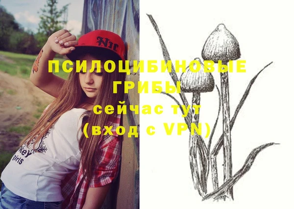 альфа пвп Елабуга