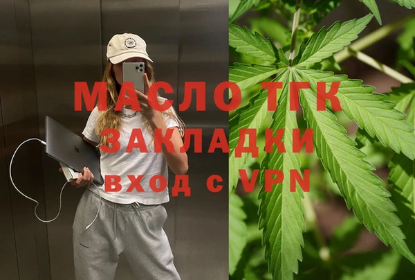 гашик Елизово