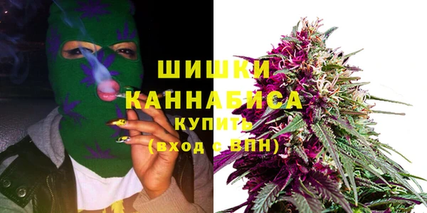 гашик Елизово