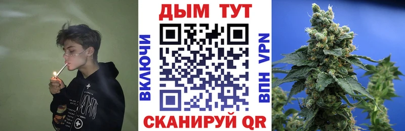 Бошки марихуана Bruce Banner  закладки  Нефтекамск 